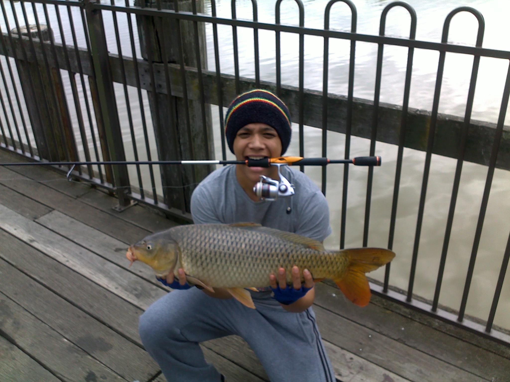 Carp Fishing in Sydney's SouthWest Fishing Reports DECKEE Community